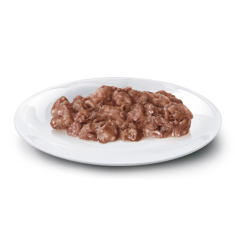 Zooplus Concept for Life Maine Coon Adult (a base di pregiato ragù) Vendita calda