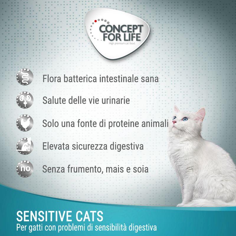 Zooplus in gelatina Offerte esclusive