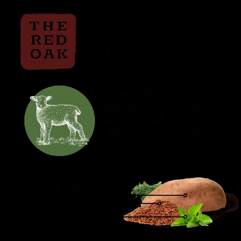 The Red Oak Agnello e Menta Grain Free per Cani Offerta migliore
