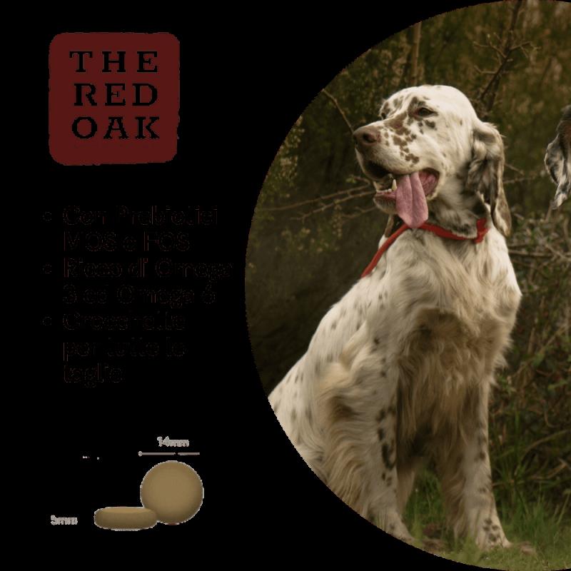 The Red Oak Maiale e Mele Grain Free per Cani Latest fashion