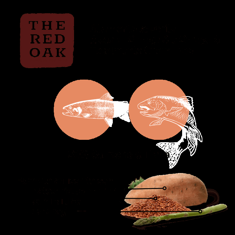 The Red Oak Salmone con Trota Grain Free Per Cani Offerta temporanea