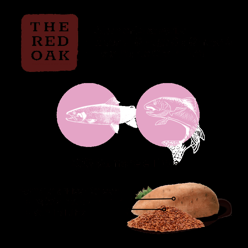 The Red Oak Salmone e Trota Grain Free per Cani di Piccola Taglia Offerte stagionali