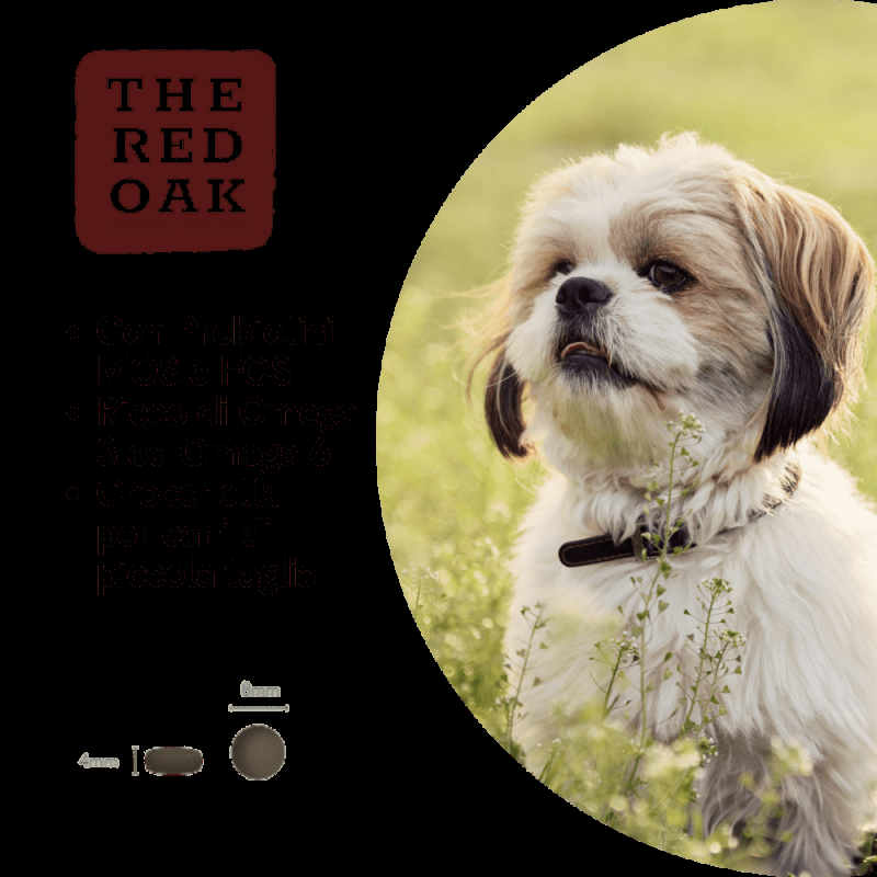 The Red Oak Salmone e Trota Grain Free per Cani di Piccola Taglia Offerte stagionali