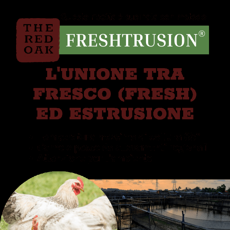 The Red Oak Salmone e Trota Grain Free per Cani di Piccola Taglia Offerte stagionali