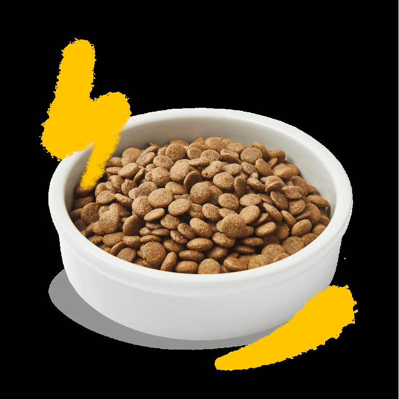 Edgard Cooper Adult con Tacchino e Pollo Fresco per Gatti Offerte speciali