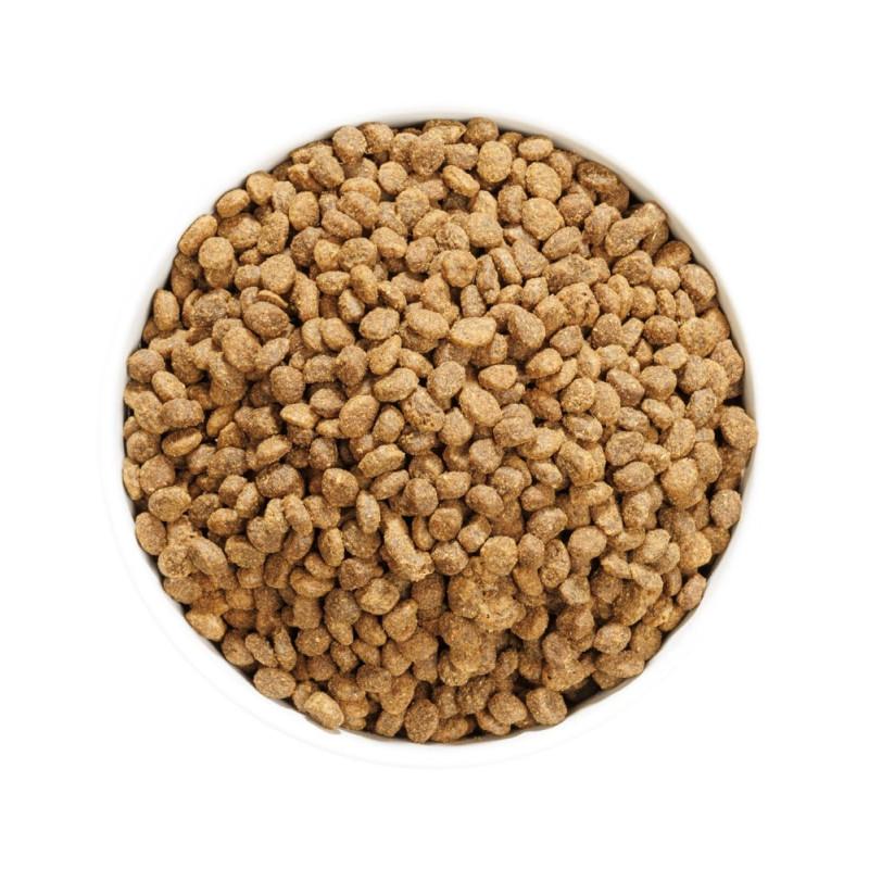 Ownat Author Grain Free con Pesce Azzurro e Pollame per Gatti Rilascio limitato