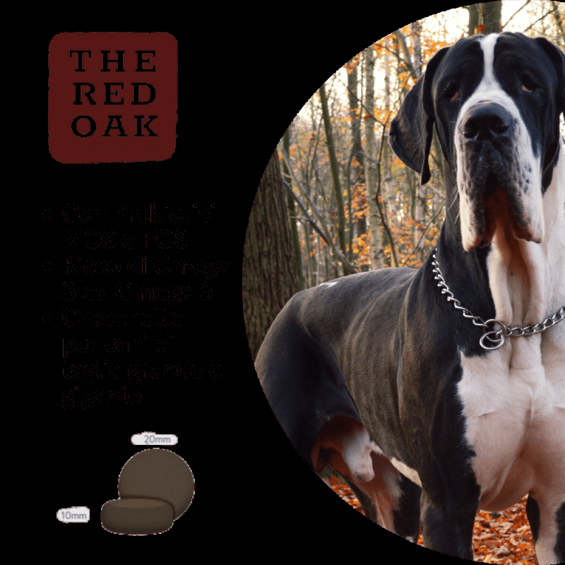The Red Oak Tacchino e Mirtilli Rossi Grain Free per Cani di Taglia Grande ACQUISTA ORA
