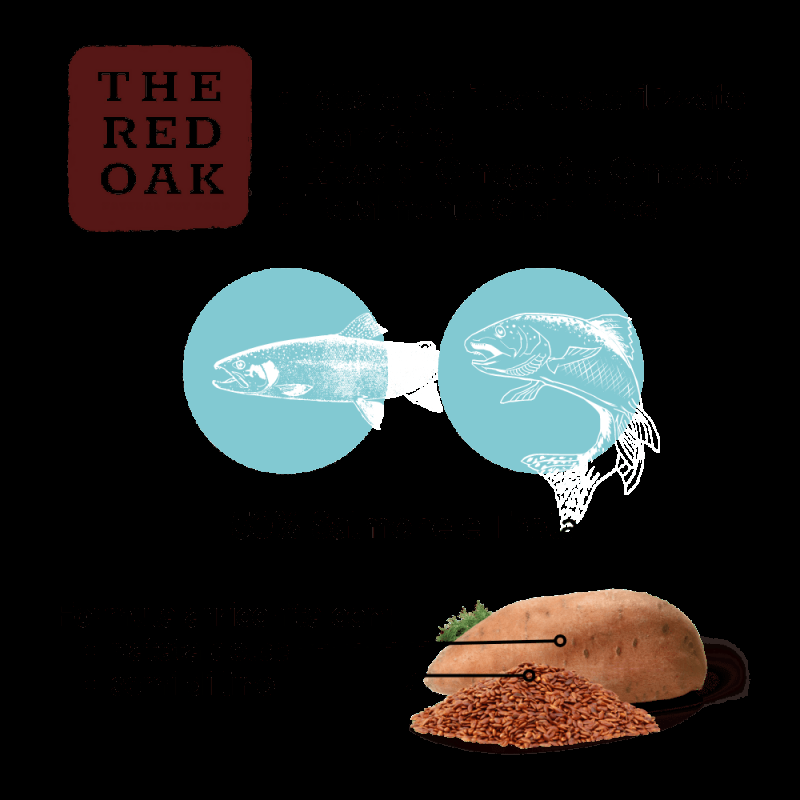 The Red Oak Light Senior Trota e Salmone Grain Free per Cani Latest stili