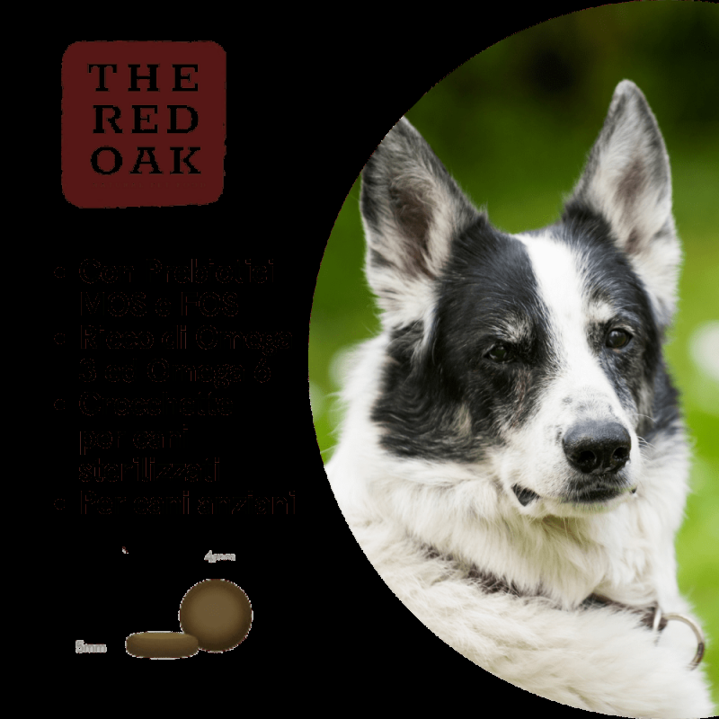 The Red Oak Light Senior Tacchino e Mirtilli Grain Free per Cani Ultimo giorno