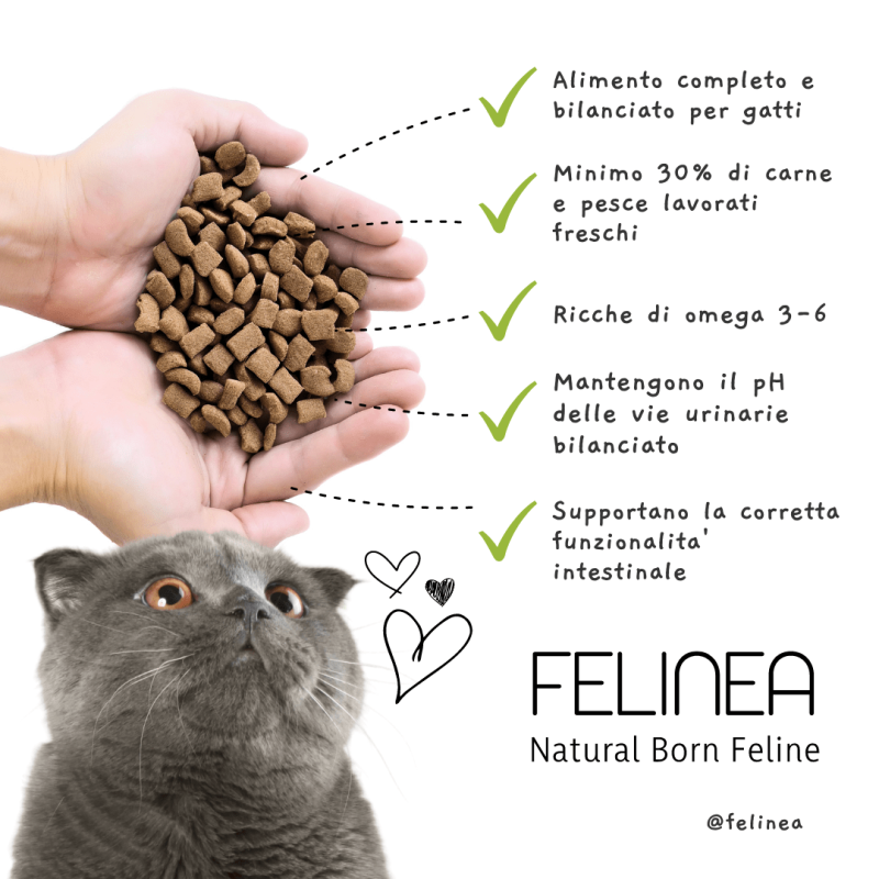 Felinea Sterilized Pesce Bianco con Caviale di Aringa Grain Free per Gatti Officina