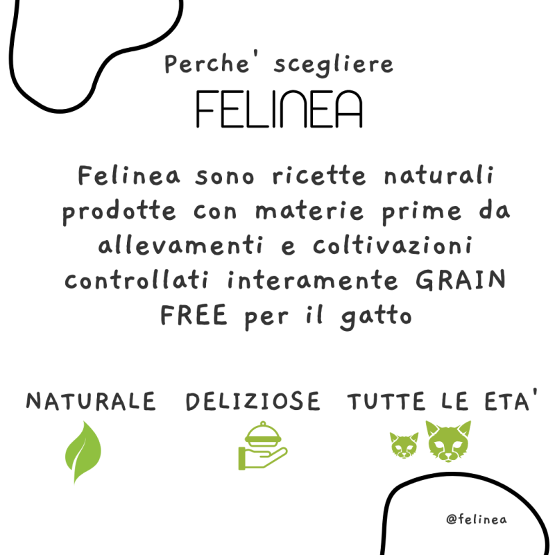 Felinea Sterilized Pesce Bianco con Caviale di Aringa Grain Free per Gatti Officina