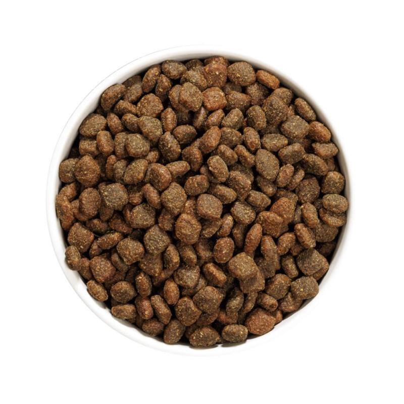 Ownat Author Grain Free Anatra e Pollo Cibo Secco per Cani Discount Store per i nuovi prodotti
