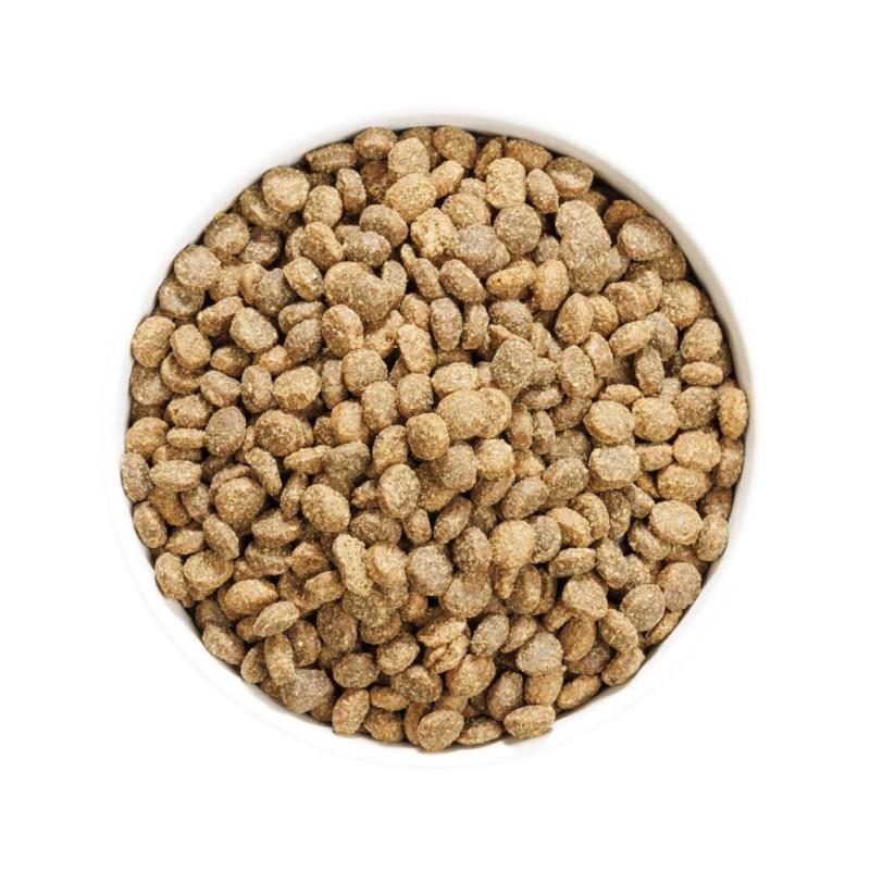 Ownat Author Grain Free Agnello e Maiale Cibo Secco per Cani Super sconto