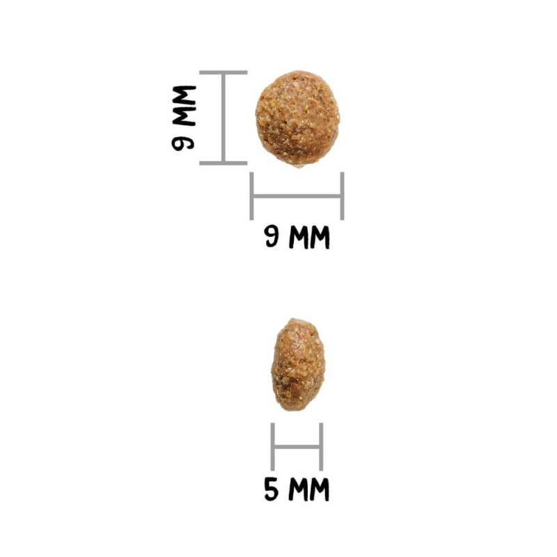 Ownat Author Grain Free Agnello e Maiale Cibo Secco per Cani Super sconto