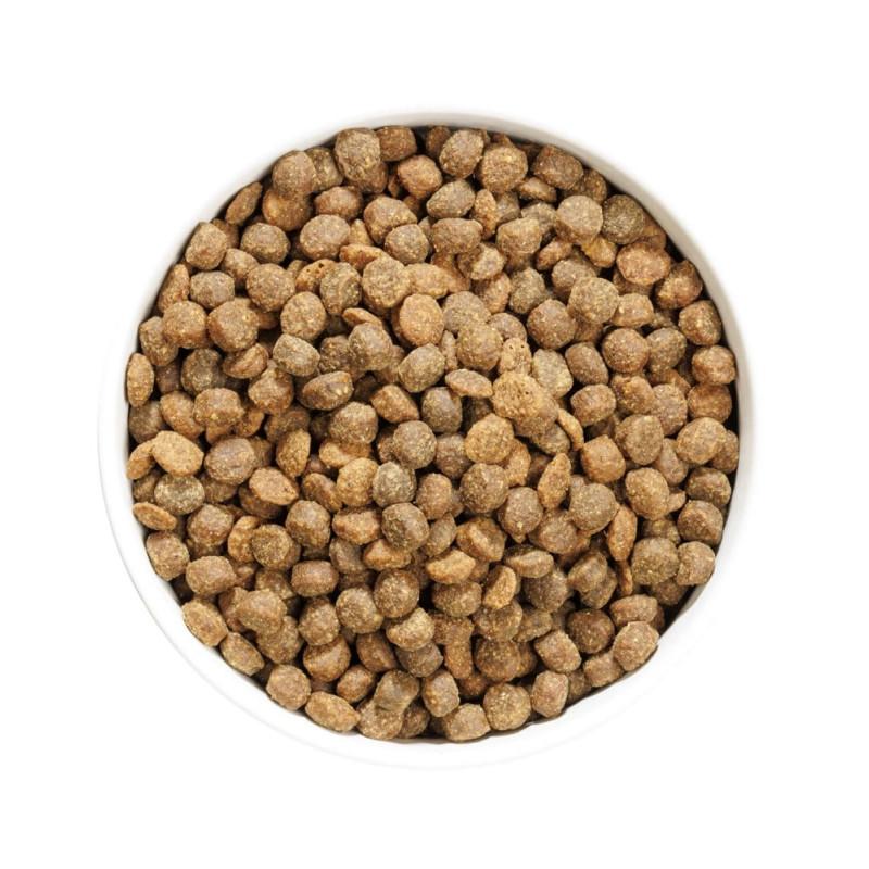 Ownat Author Junior Grain Free Pollo Cibo Secco per Cuccioli 50% di sconto con spedizione gratuita