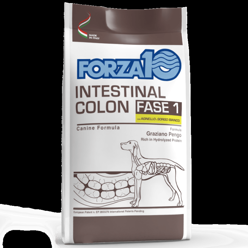 Forza10 Intestinal Colon Fase 1 Agnello e Sorgo Bianco per Cani Online