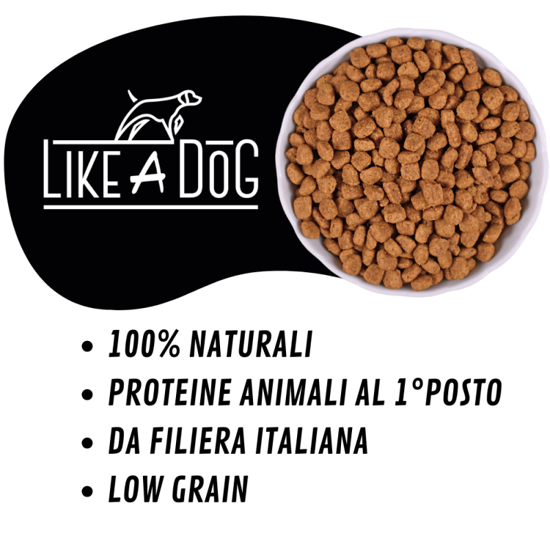Like A Dog Low Grain Lamb Medium Large per Cani Bestseller