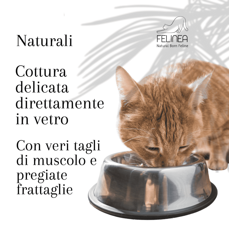 Felinea con Pollo e Manzo Cibo Umido per Gatti Negozio online di fabbrica