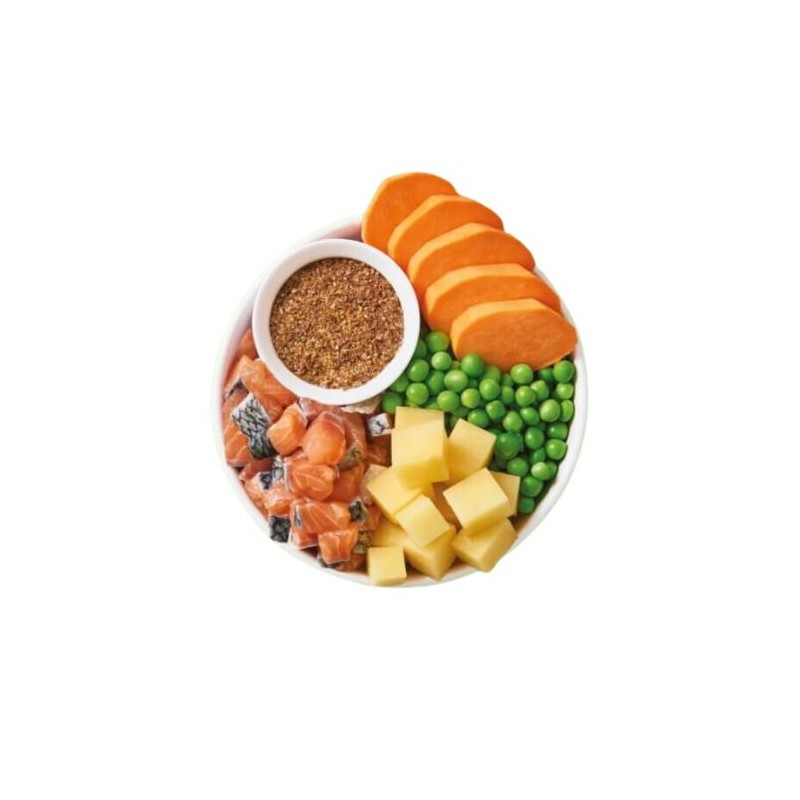 Lily's Kitchen Salmone e Patate Salmon Supper per Cani Fino Al -60%