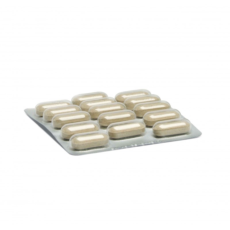 Orme Naturali Hybrid Compresse per Cani Prezzo di fabbrica