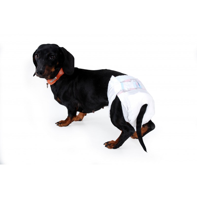 Pannolini Mutandina Monouso per Cani Offerta natalizia