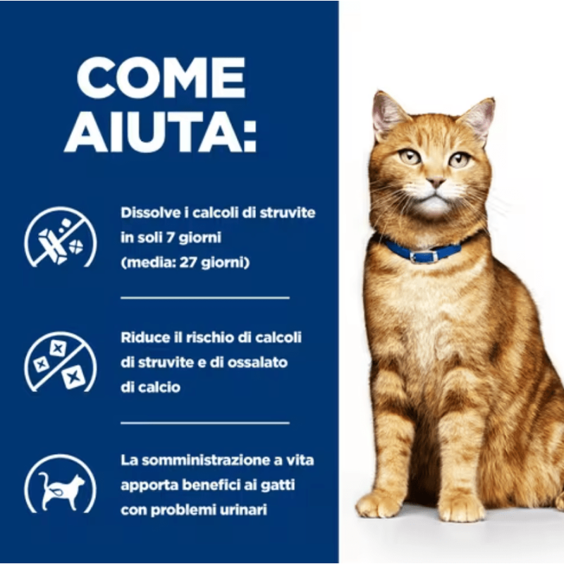 Hill's Prescription Diet c/d Urinary Care per Gatti Liquidazione