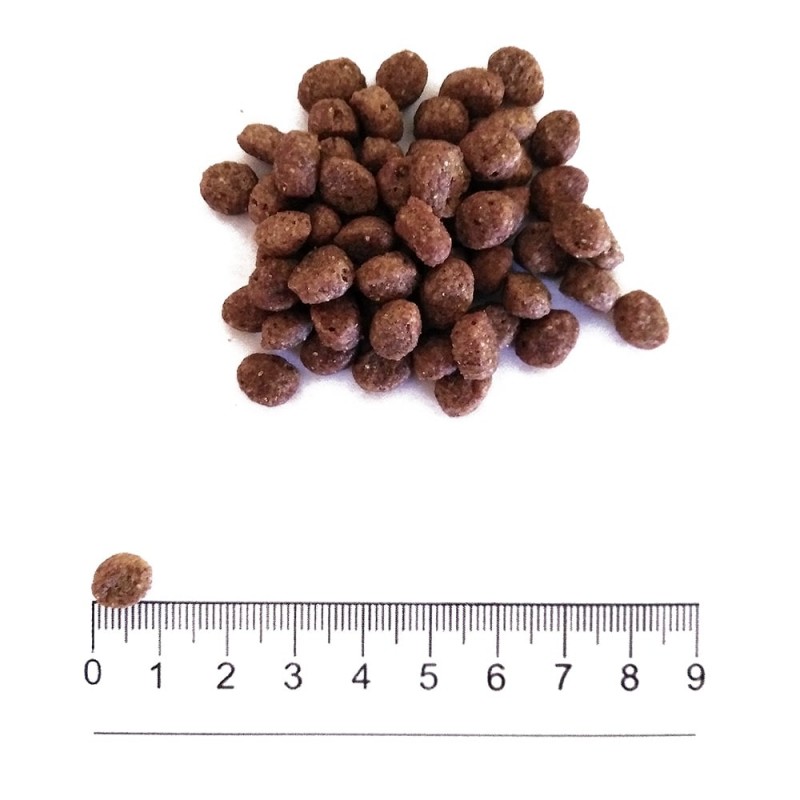 Prolife Smart Adult Mini con Pollo e Riso per Cani 2025