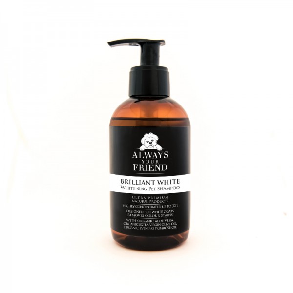 Always Your Friend Shampoo Bianco Brillante Fino al 50% di sconto