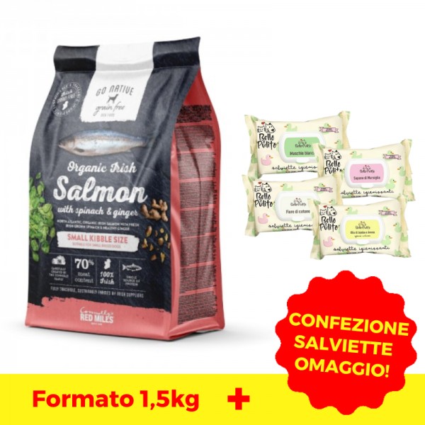 Go Native Small Breeds Salmone Biologico Spinaci e Zenzero Fornitura limitata