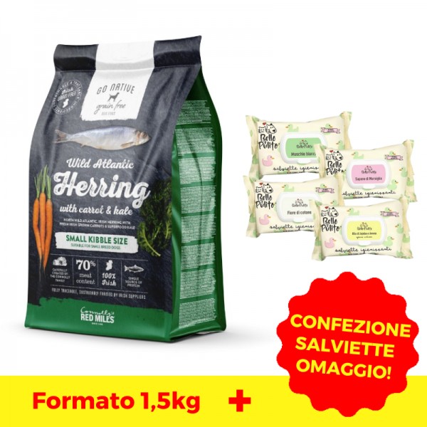 Go Native Small Breeds Aringa Carota e Cavoli Shopping online