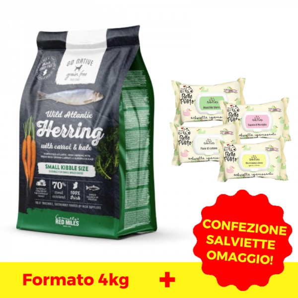 Go Native Small Breeds Aringa Carota e Cavoli Shopping online