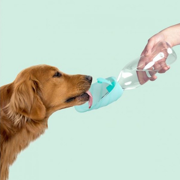 United Pets Dispenser Acqua Leaf Rosa Promozione Limitata