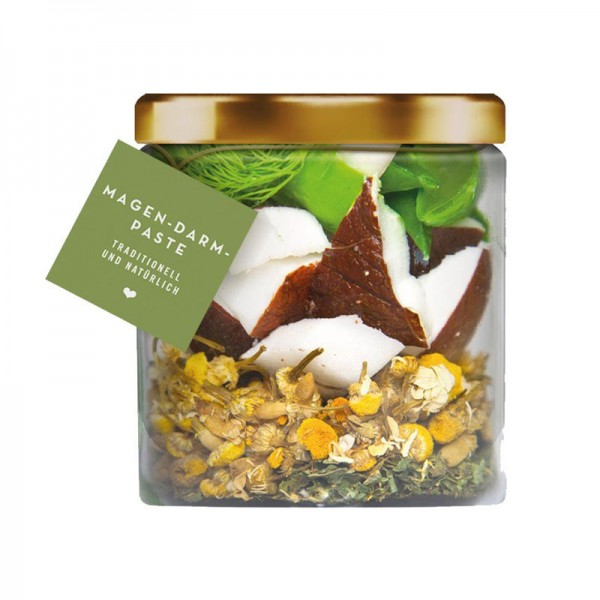Terra Canis Pasta Bio Gastrointestinal Paste per Cani Only for today