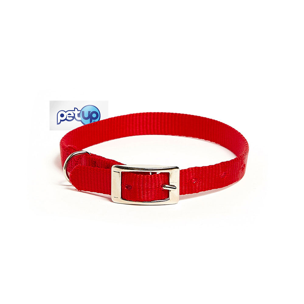 Petup Collare nylon 12 x 380 mm rosso 000152640 In Linea