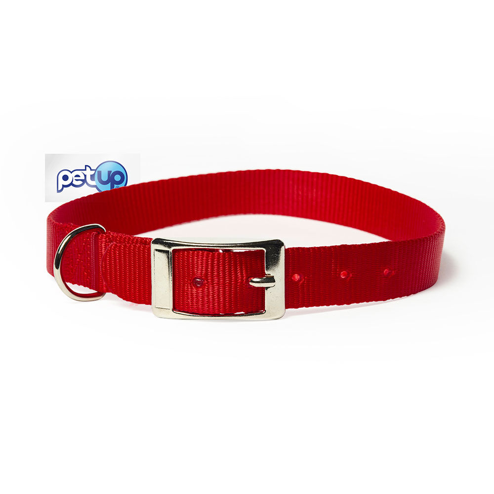 Petup Collare nylon 25 x 600 mm rosso 000152655