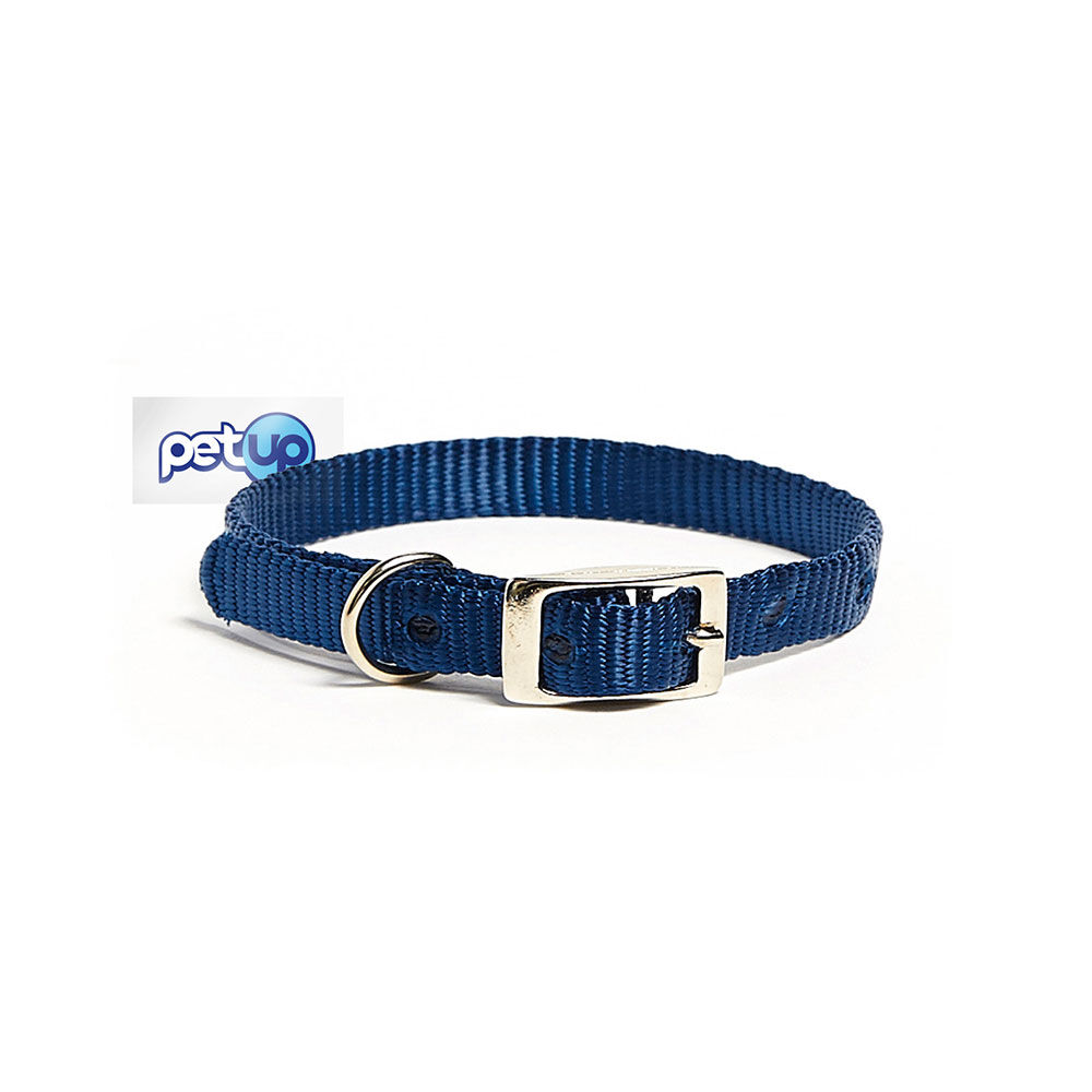 Petup Collare nylon 12 x 380 mm blu 000152641