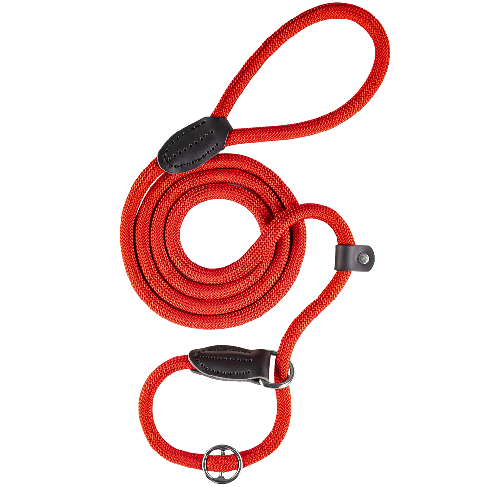 Petup Guinzaglio a strangolo in corda 11x1750 mm Rosso 000155138 Offerta temporanea